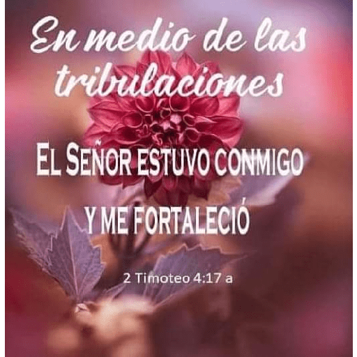 Textos biblicos😇😇😇 16