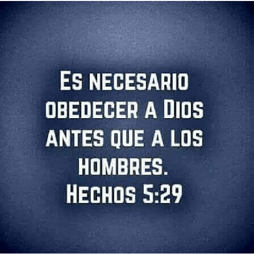 Textos biblicos😇😇😇 12