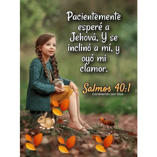 Textos biblicos😇😇😇 14