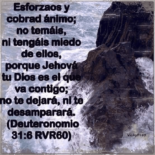 Textos biblicos😇😇😇 28