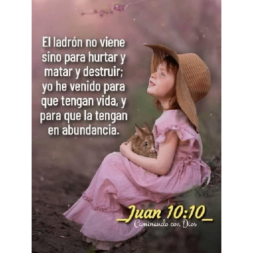 Textos biblicos😇😇😇 11