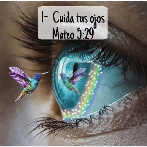 Textos biblicos😇😇😇 26