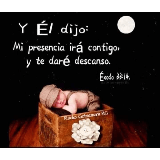 Textos biblicos😇😇😇 8
