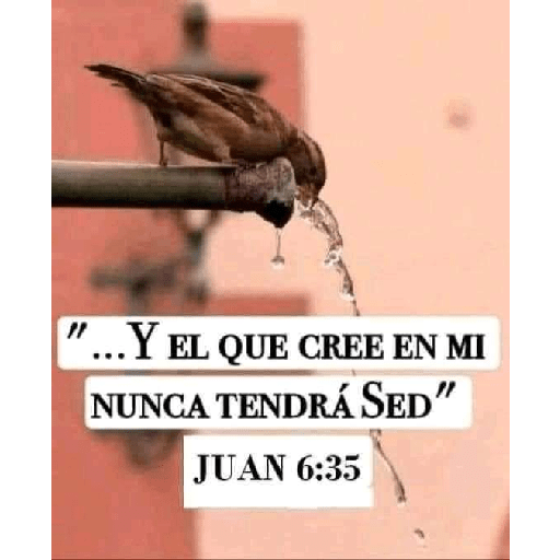 Textos biblicos😇😇😇 13