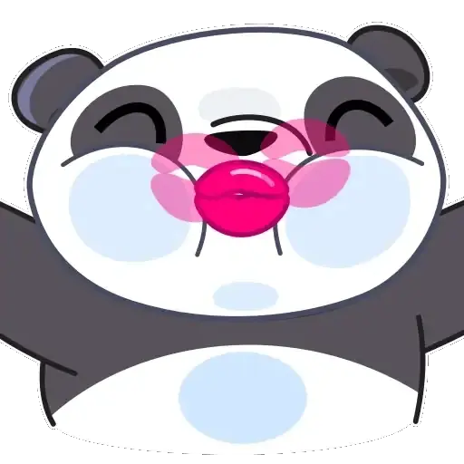 Panda 🐼❤️