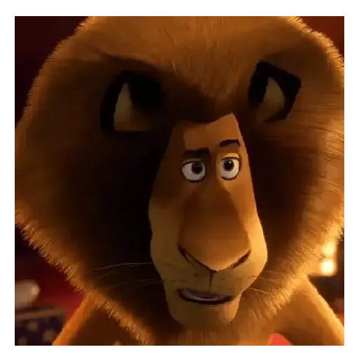 Madagascar 🦁🎉