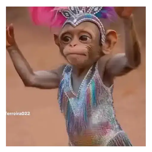 Carnaval de monos 💃🎊🙉