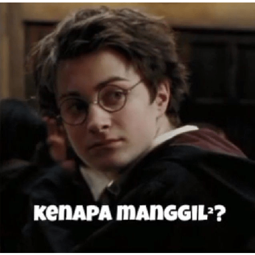 Harry potter sticker 29
