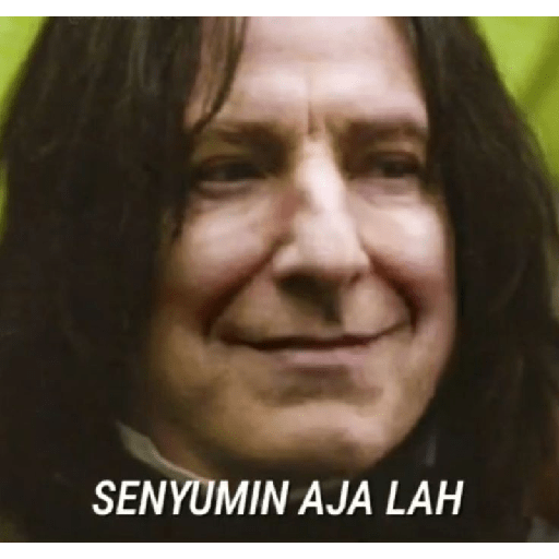 Harry potter sticker 25