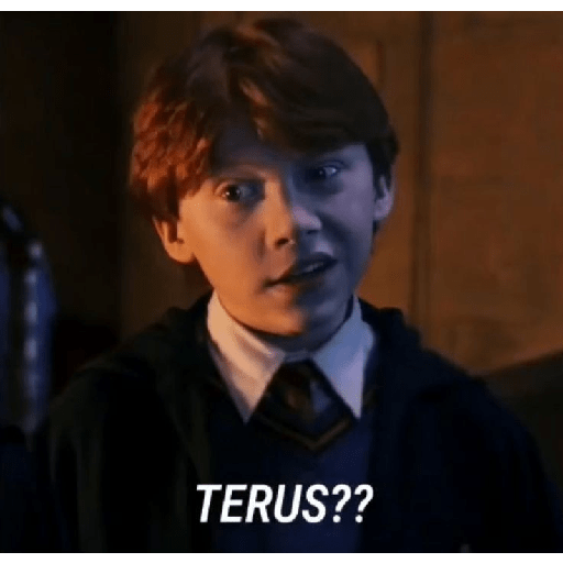 Harry potter sticker 17