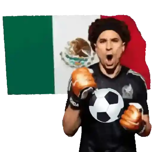 🇲🇽⚽️México ⚽️🇲🇽