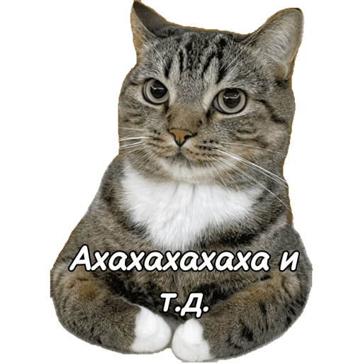 Мои стикеры 3
