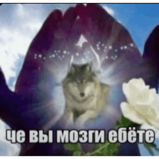 Мои стикеры 15