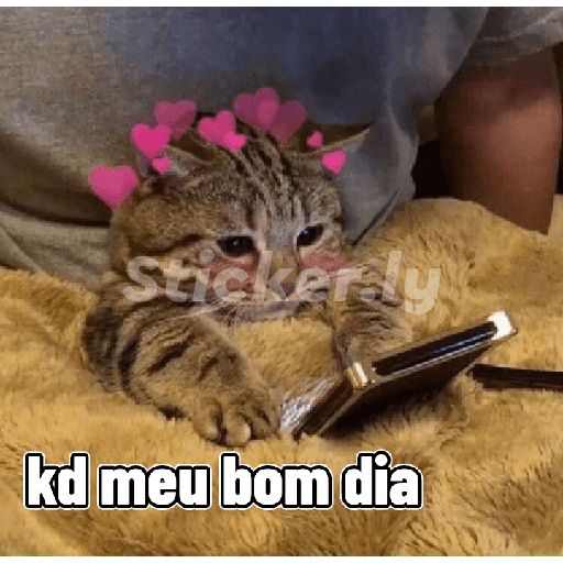 Aleatório 3