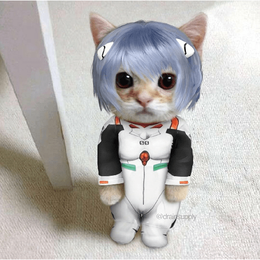 Asuka ketchup  13