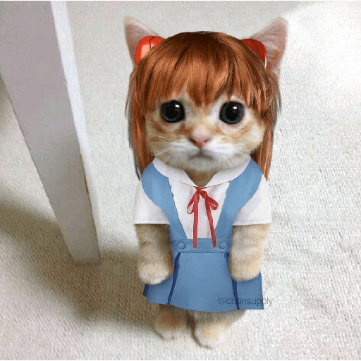 Asuka ketchup  12