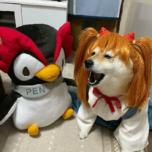 Asuka ketchup  4