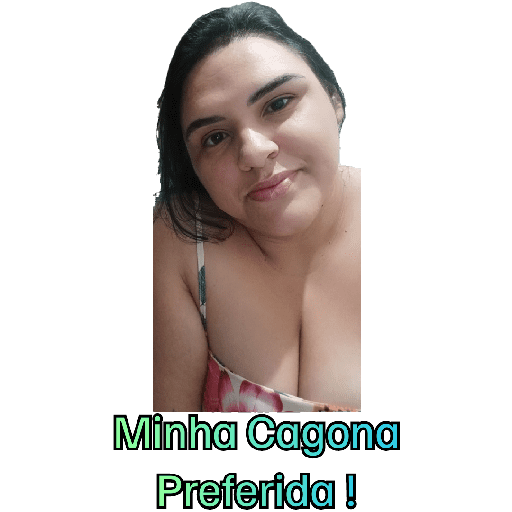 Minhas figurinhas 15