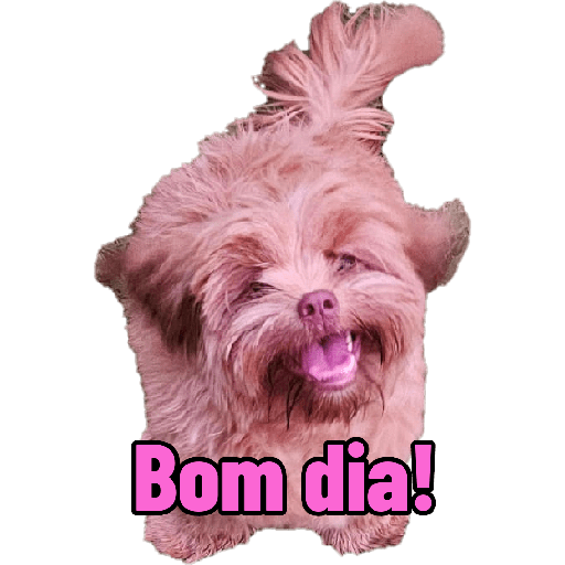Bichinhos 4