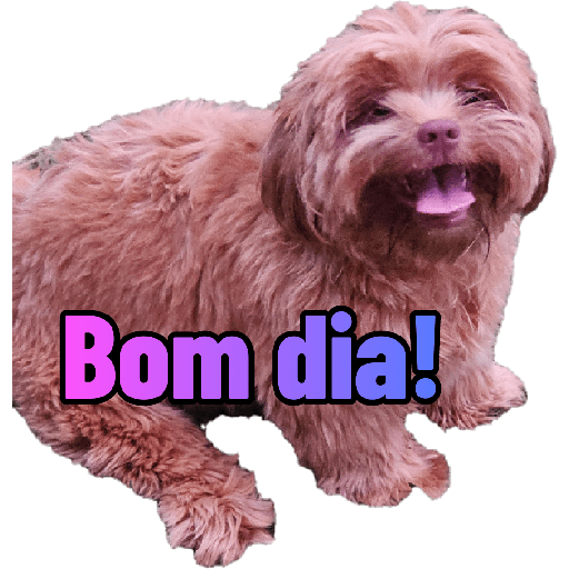 Bichinhos 3