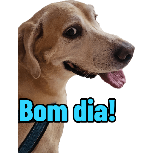 Bichinhos 2