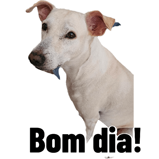 Bichinhos 9