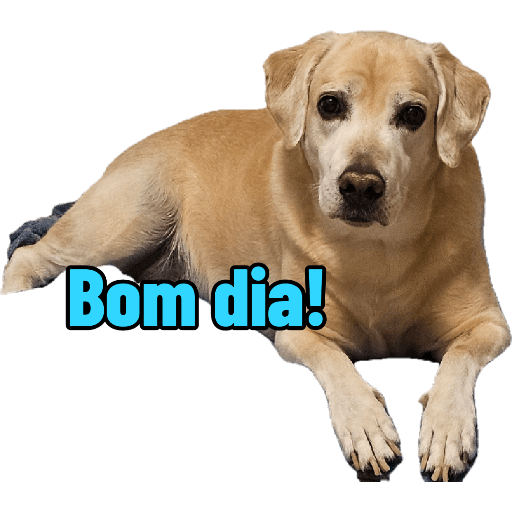 Bichinhos 8