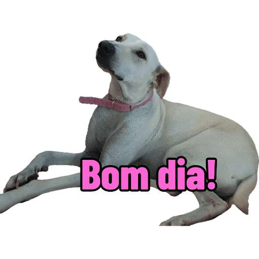 Bichinhos 7