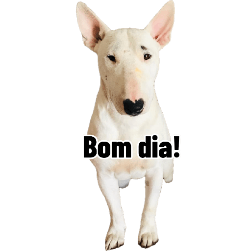Bichinhos 6