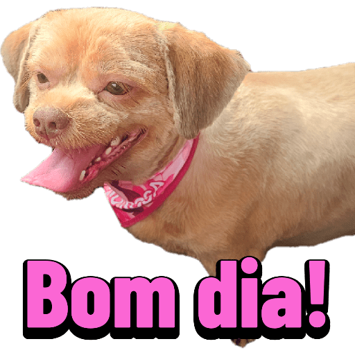 Bichinhos 10