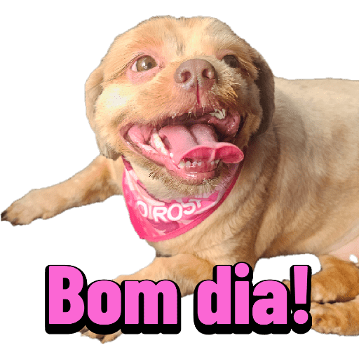 Bichinhos 11