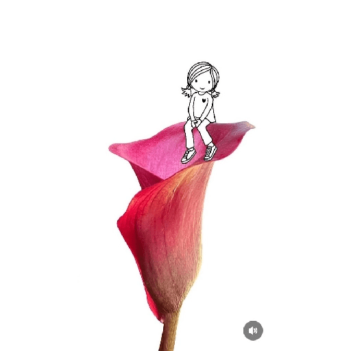 Amor em flores 2