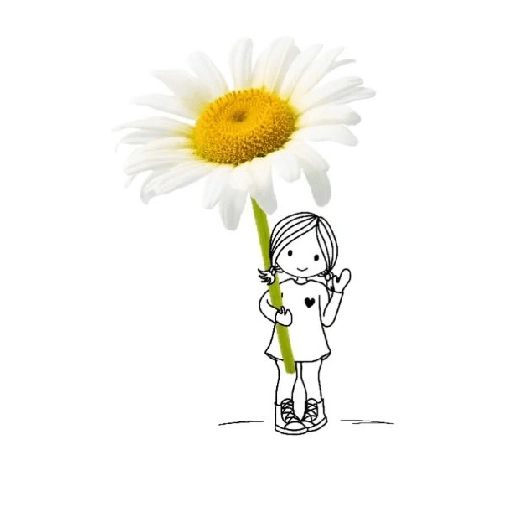 Amor em flores 6