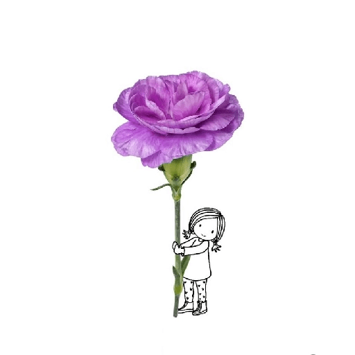 Amor em flores 8