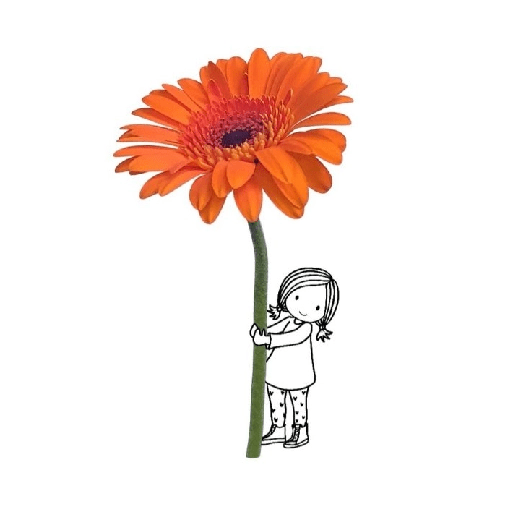 Amor em flores 10