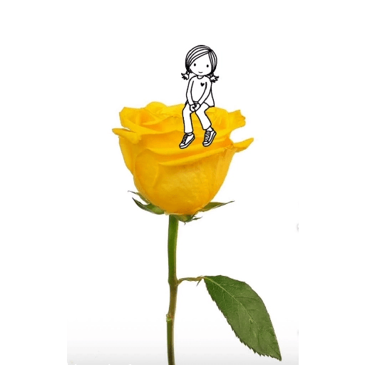Amor em flores 13