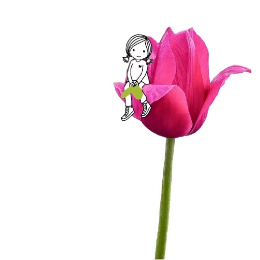 Amor em flores 14