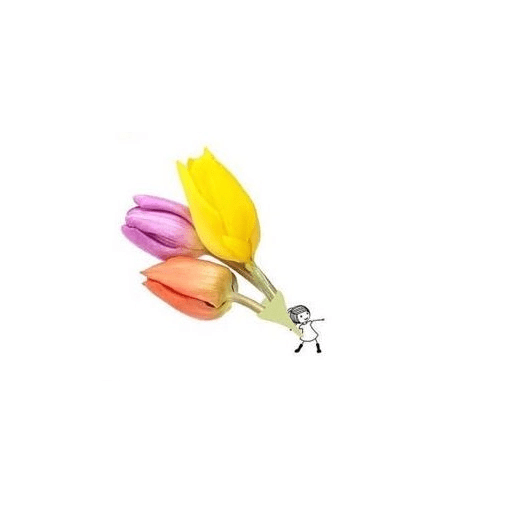Amor em flores 15