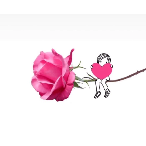 Amor em flores 16