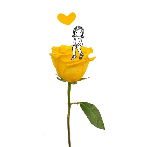 Amor em flores 18