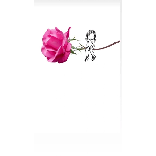 Amor em flores 17