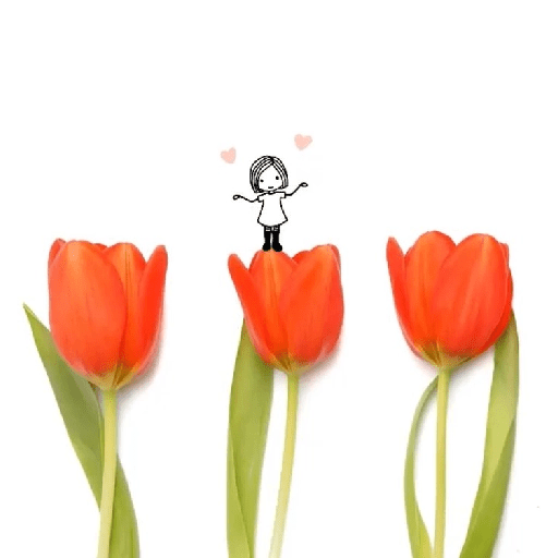 Amor em flores 19