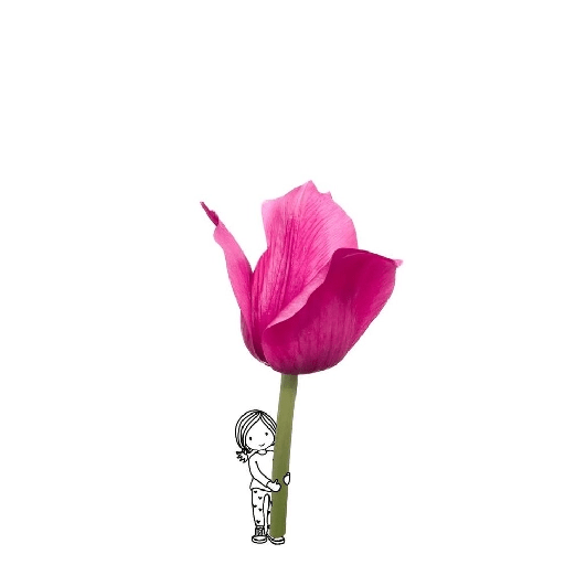 Amor em flores 20