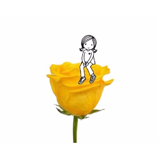 Amor em flores 21
