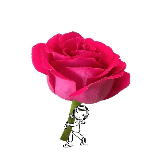 Amor em flores 22