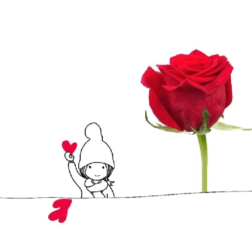 Amor em flores 23