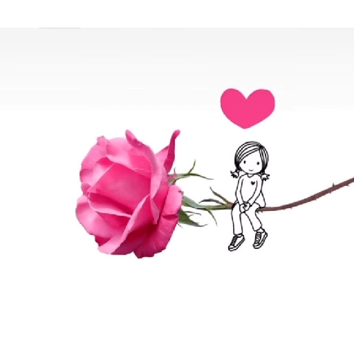 Amor em flores 24
