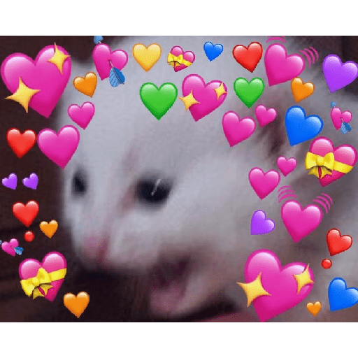 Gatinhos 9