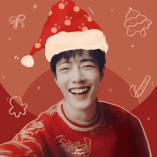 Natal com Bts 6