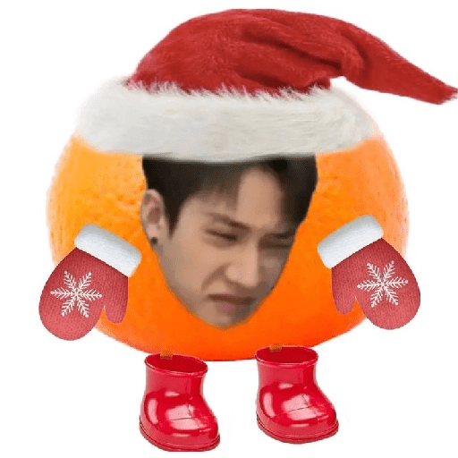 Natal com Bts 9